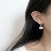925 sterling silver earrings