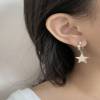 925 sterling silver earrings